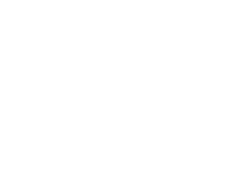 Multimarket Virtual Panama