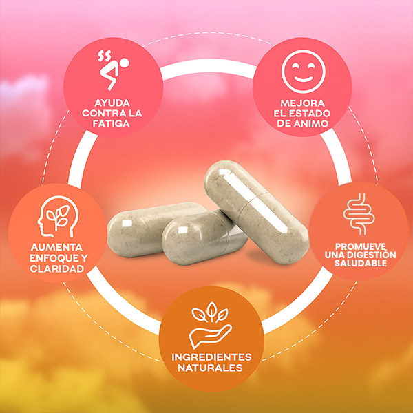 YERBA MATE 60 CÁPSULAS -  ENVÍO GRATIS 💚🌿